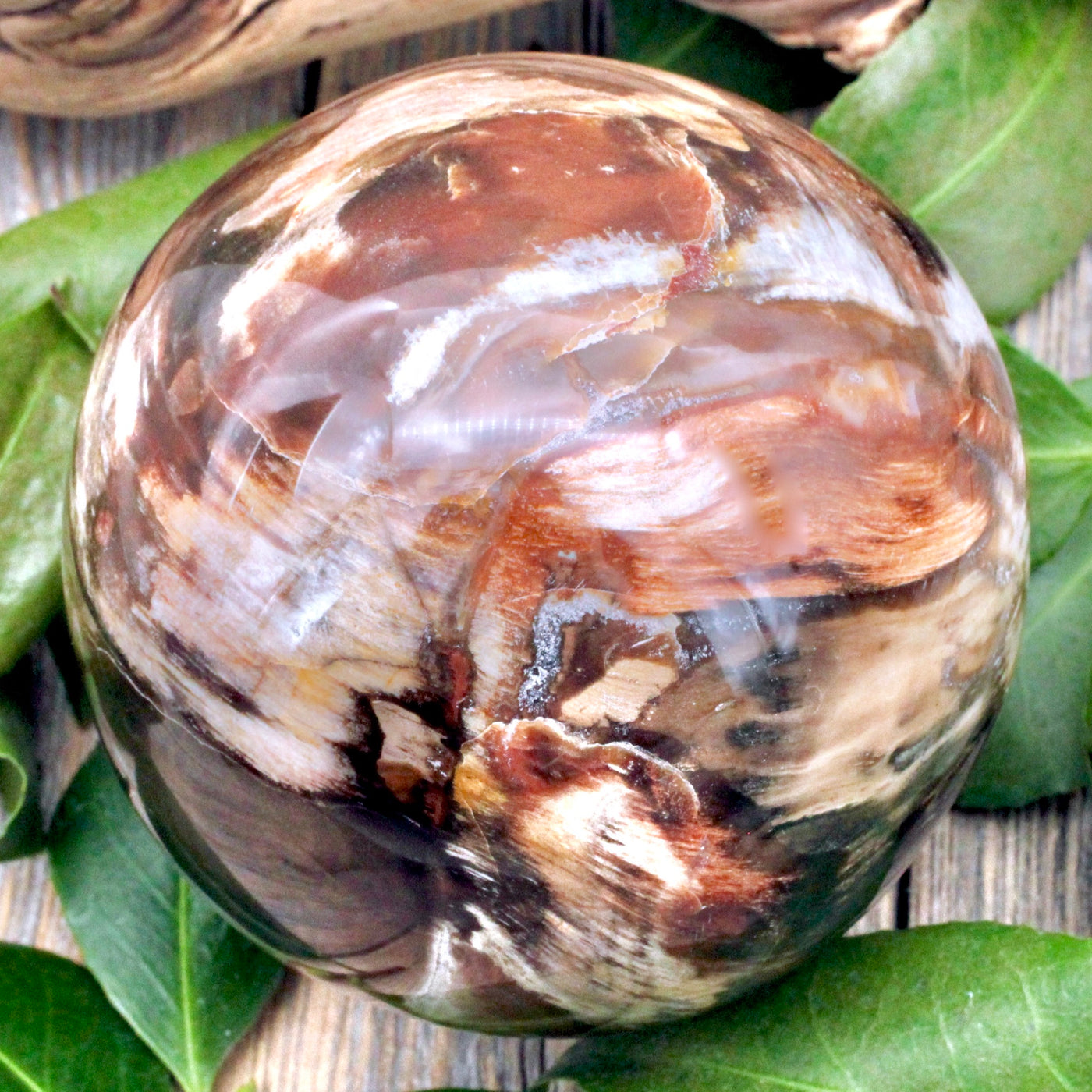 Petrified Wood Sphere