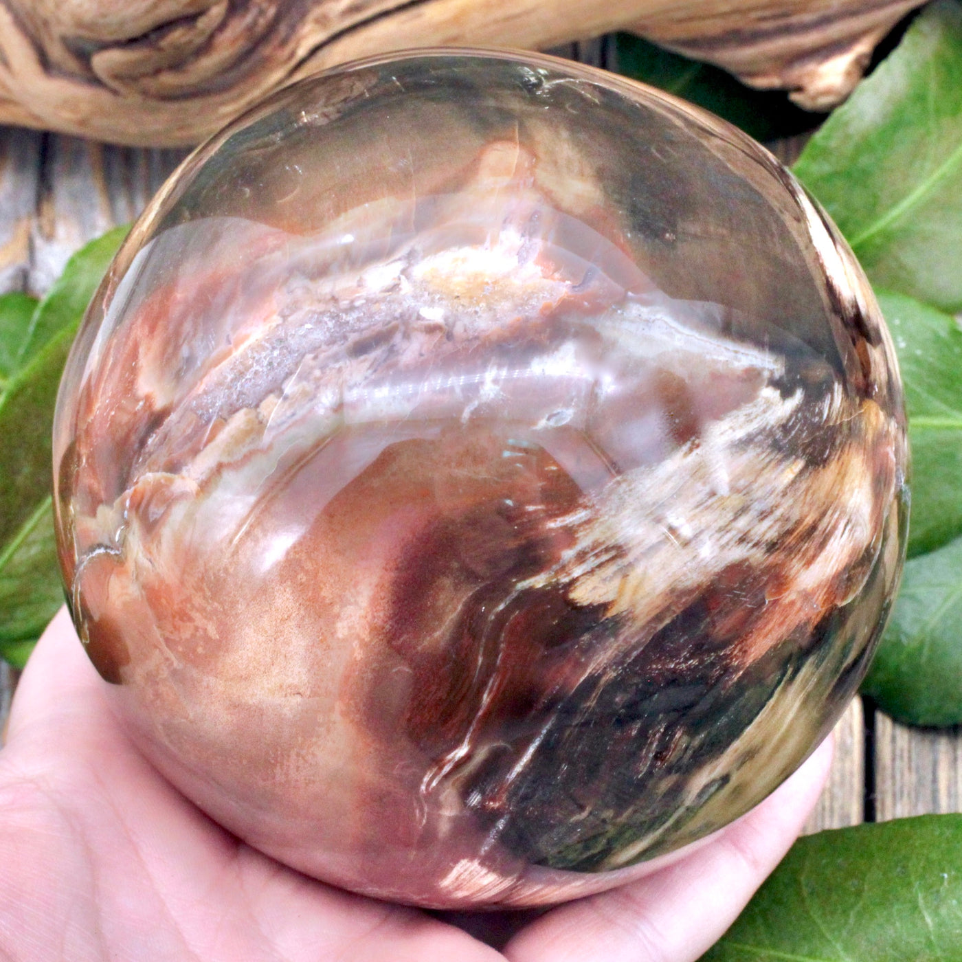 Petrified Wood Sphere