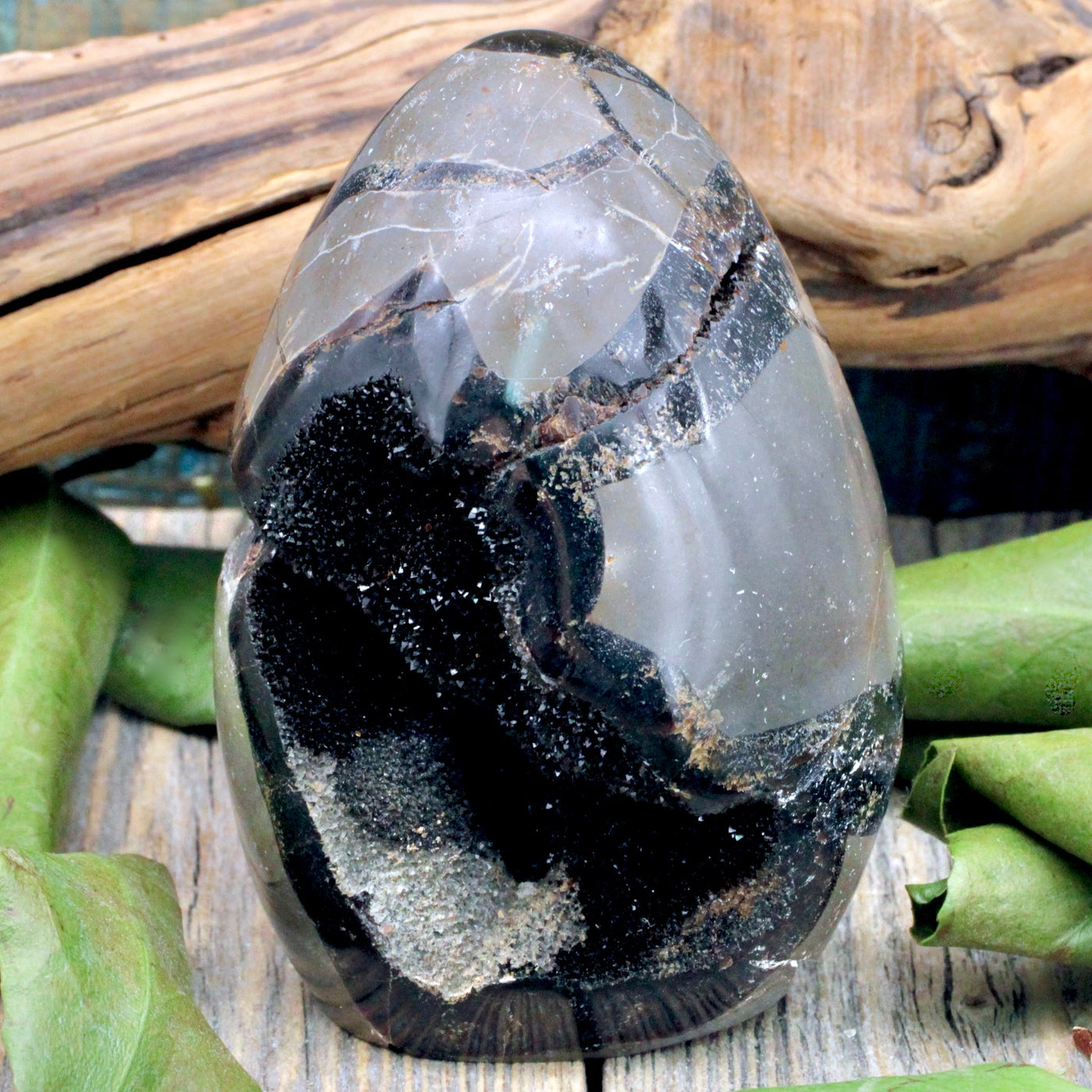 Septarian Egg