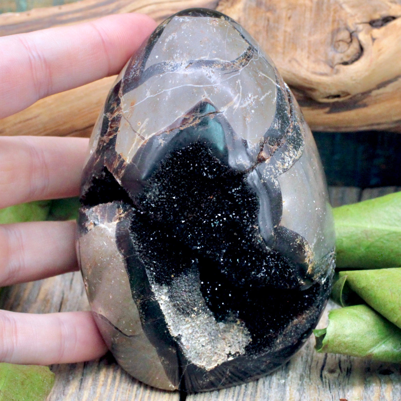 Septarian Egg