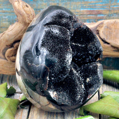 Septarian Egg