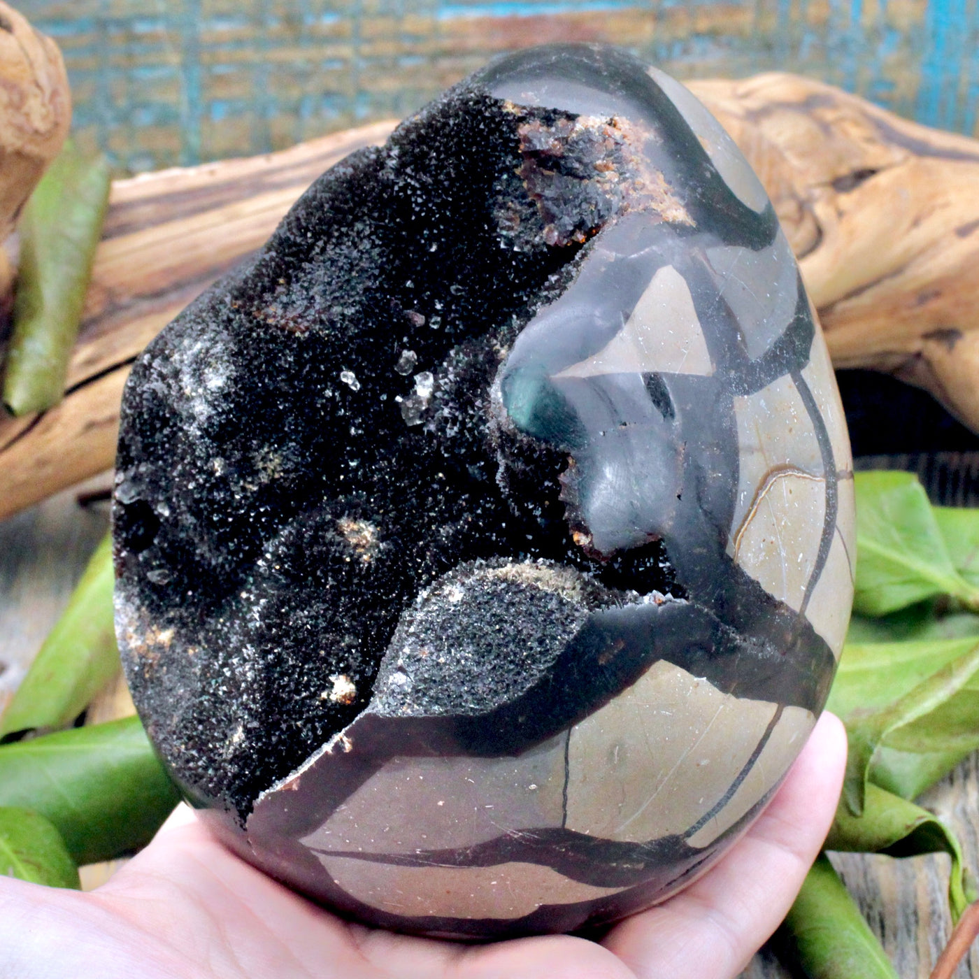 Septarian Egg