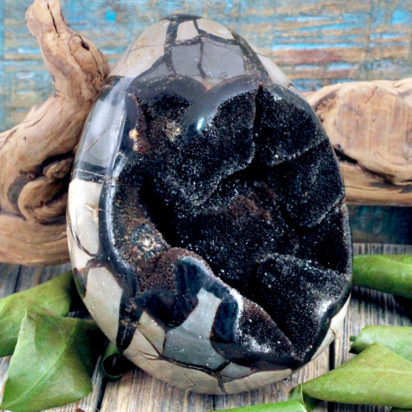 Septarian Egg