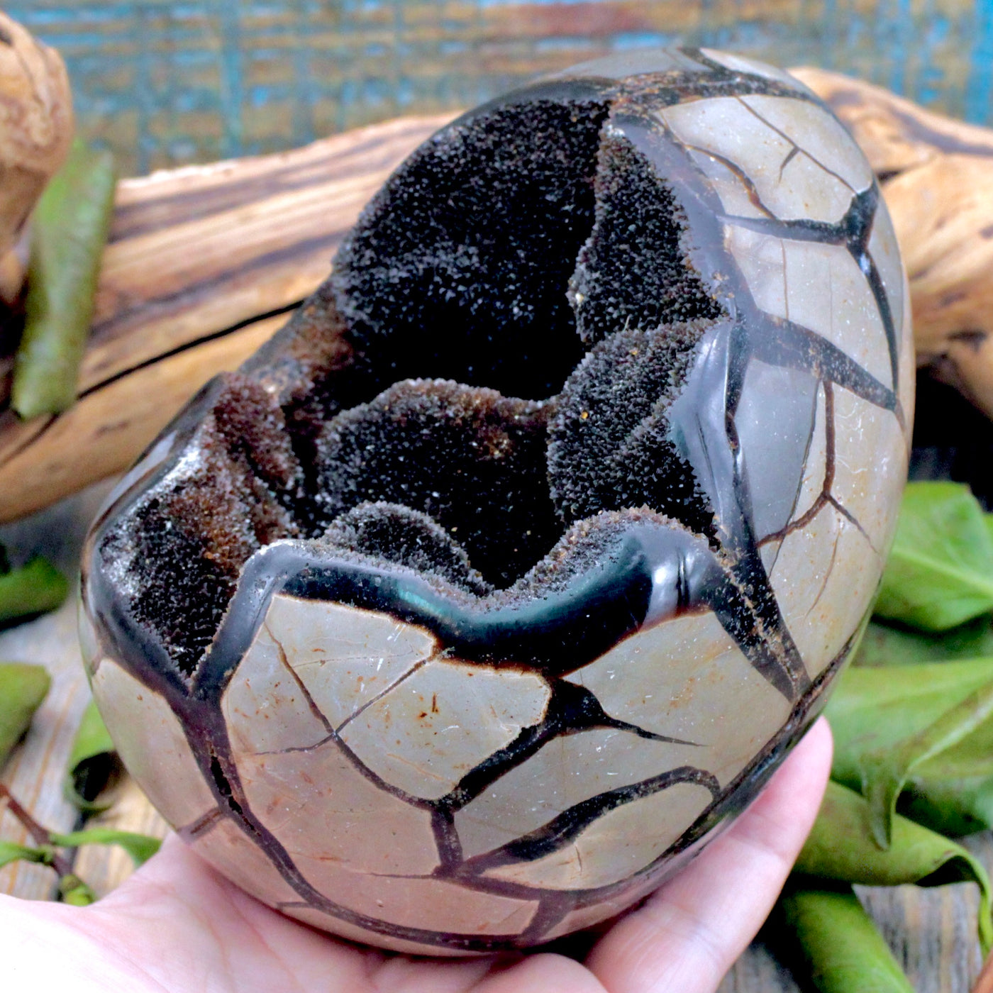 Septarian Egg