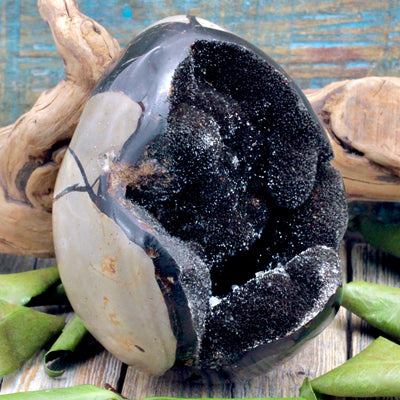 Septarian Egg