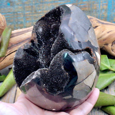 Septarian Egg