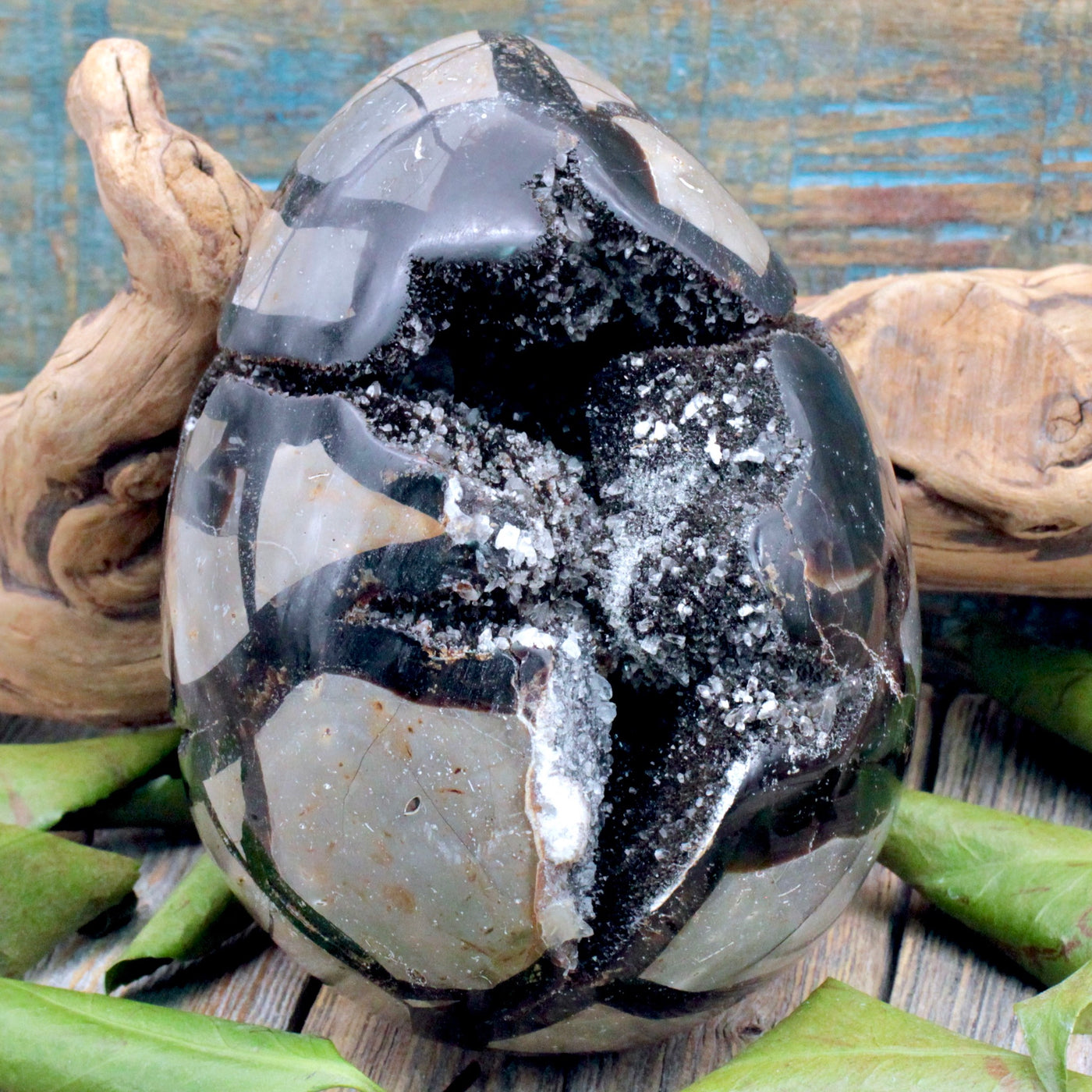 Septarian Egg