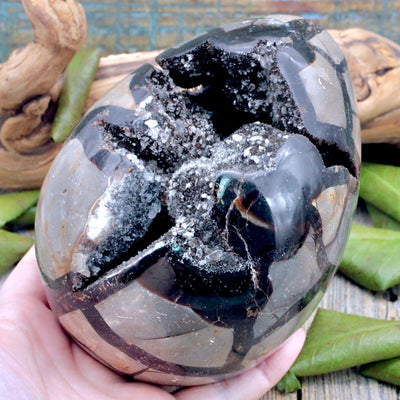 Septarian Egg