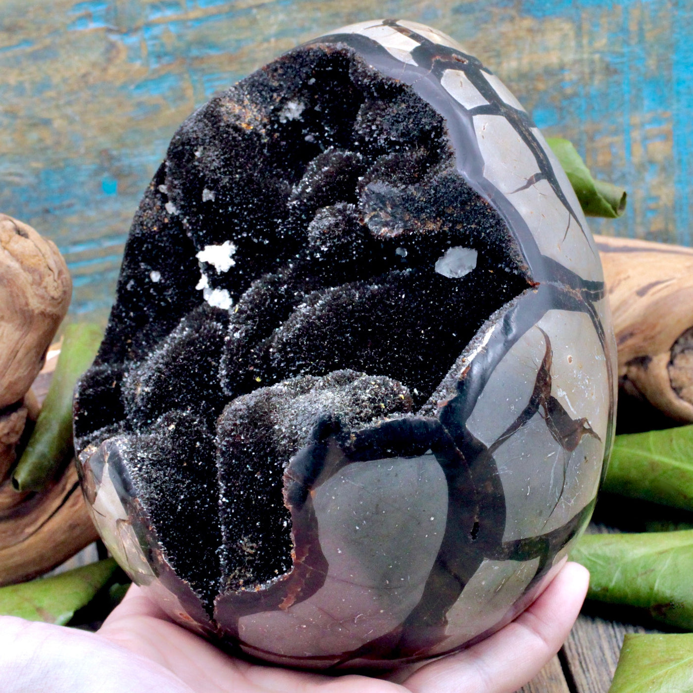 Septarian Egg