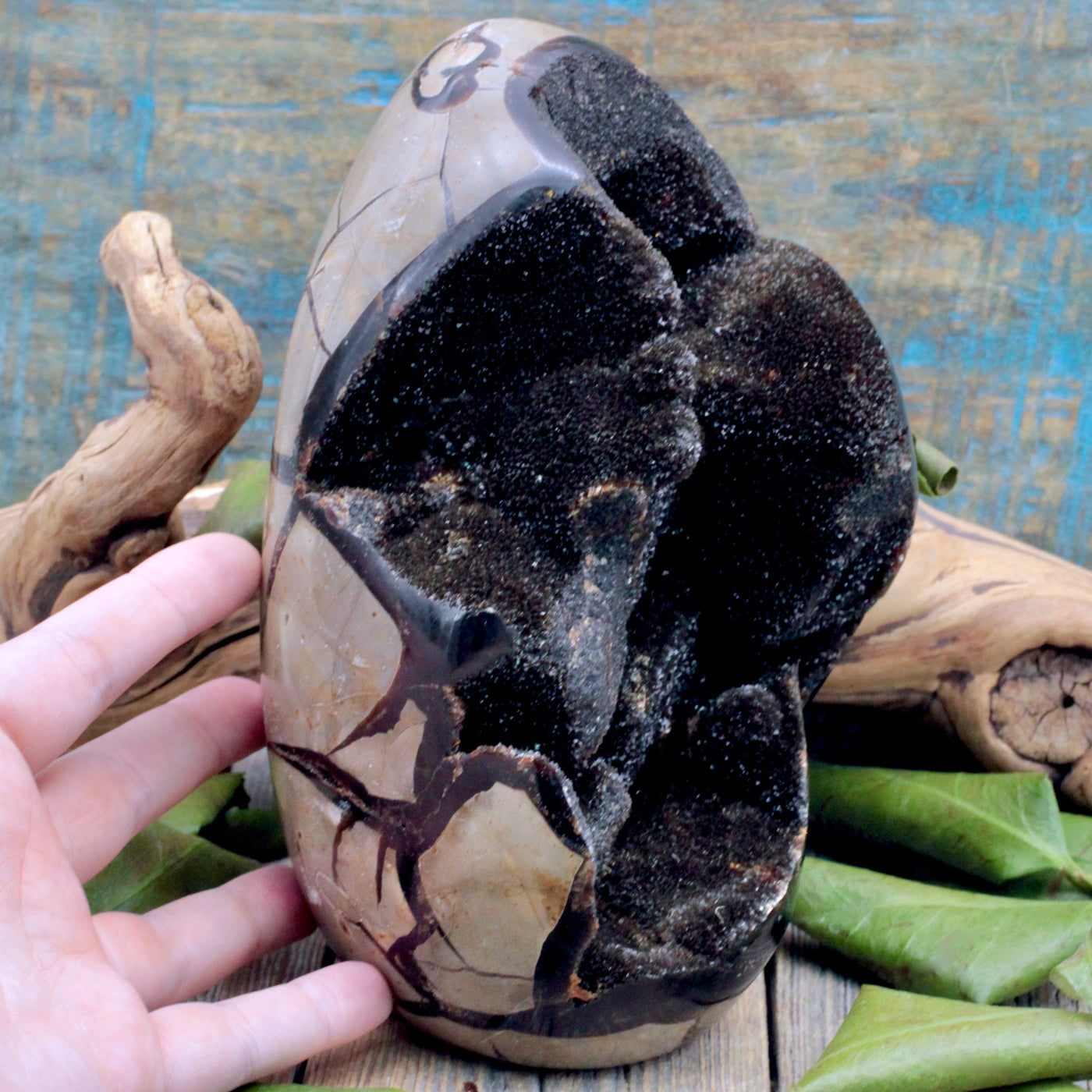 Septarian Egg