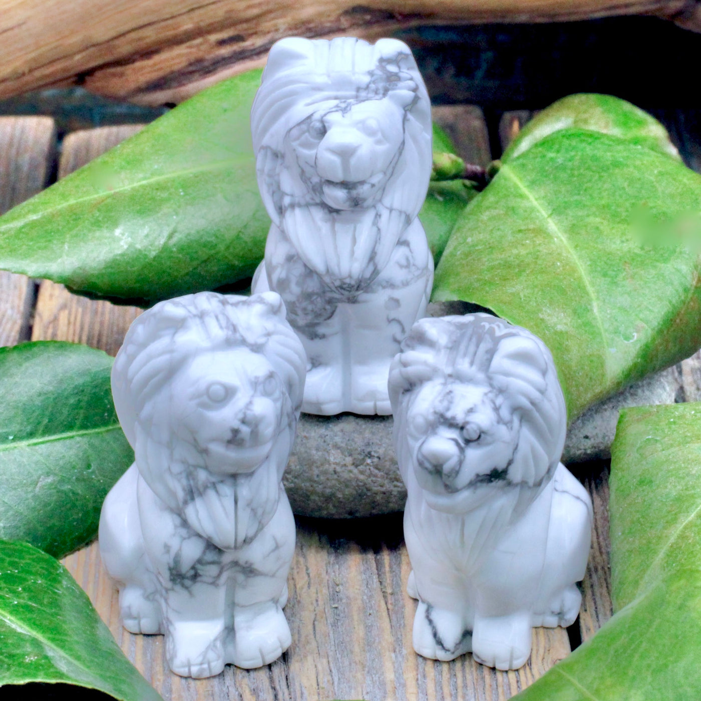 Howlite Lion