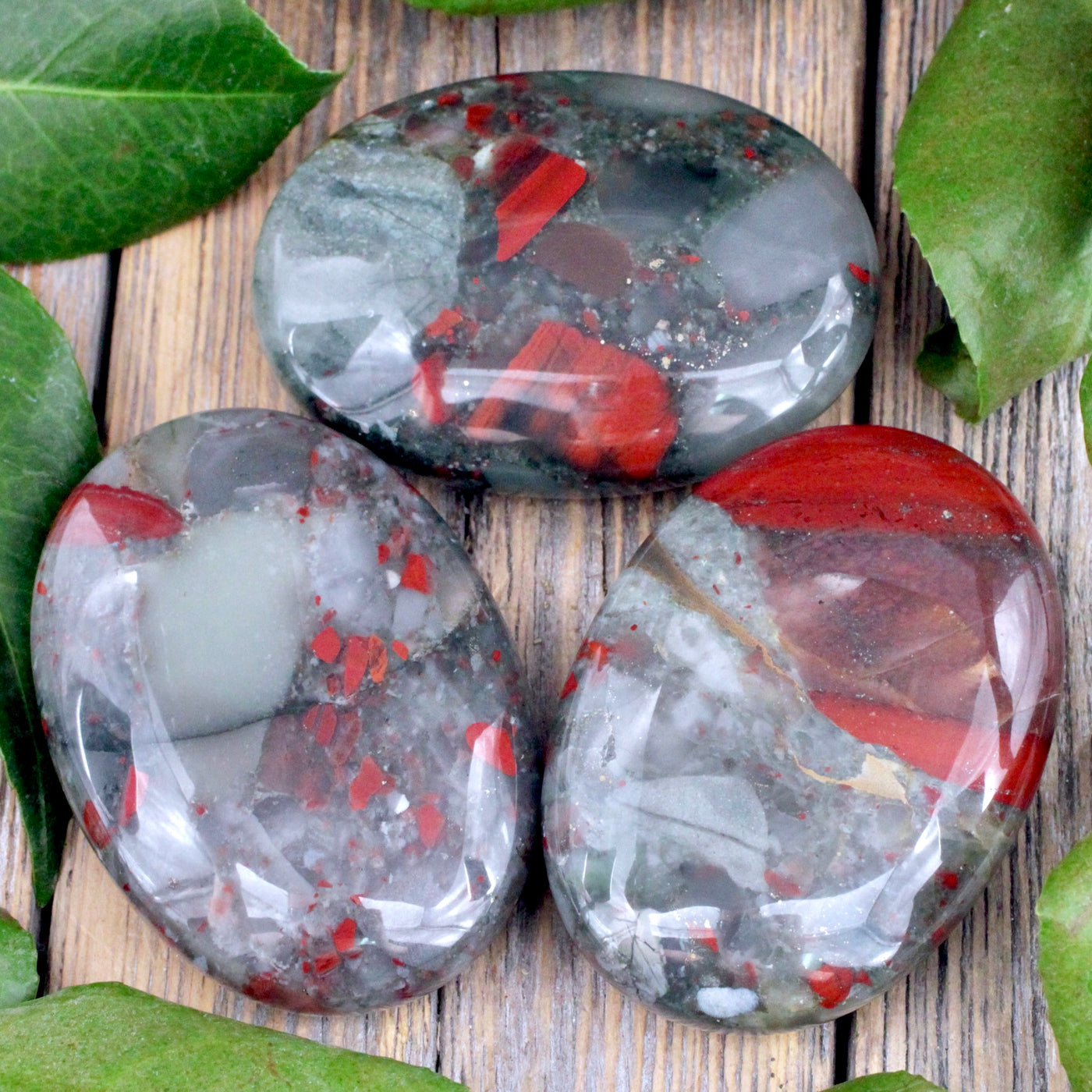 African Bloodstone Palm Stone