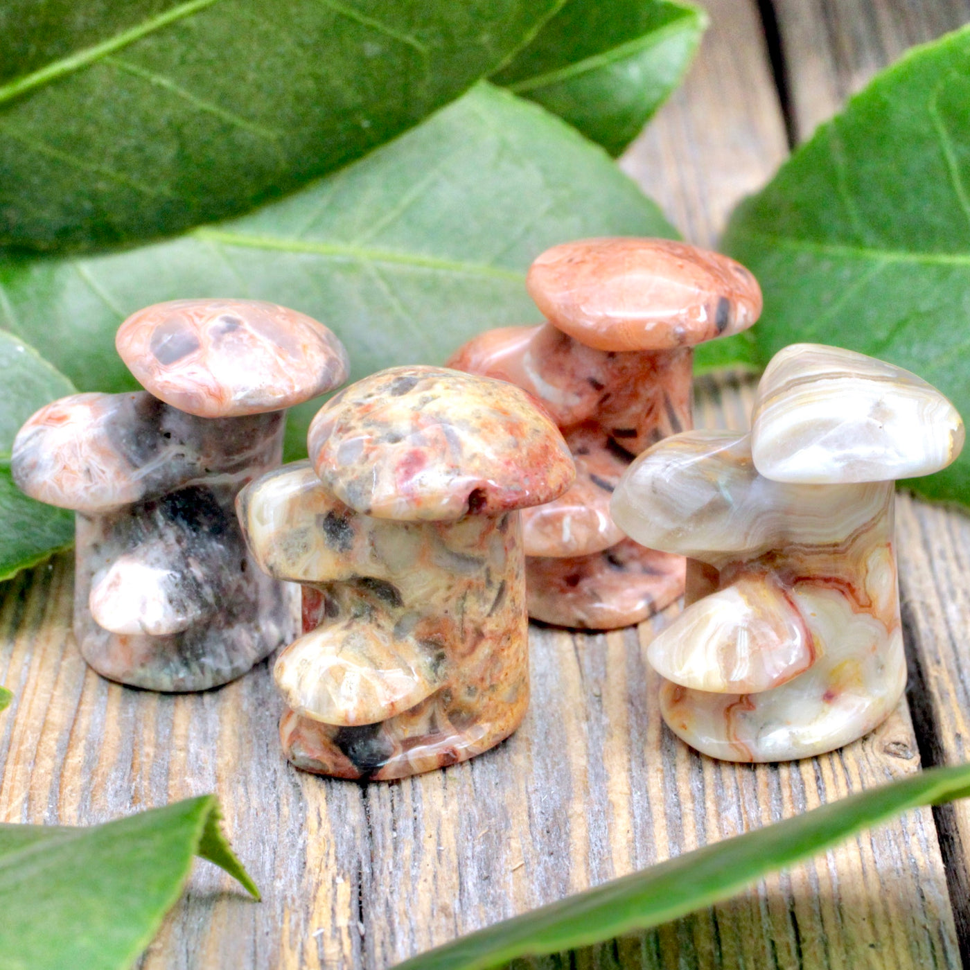 Crazy Lace Agate Mushroom Cluster