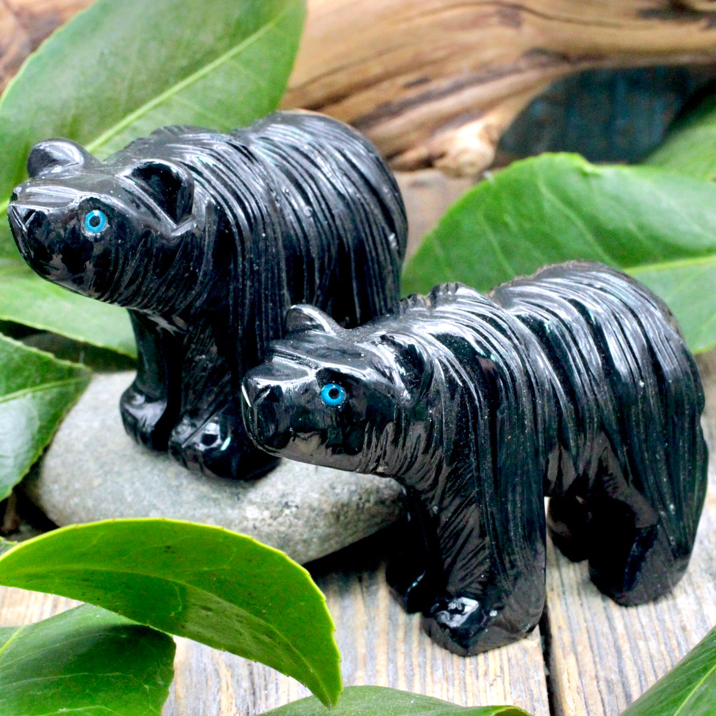 Black Onyx Bear