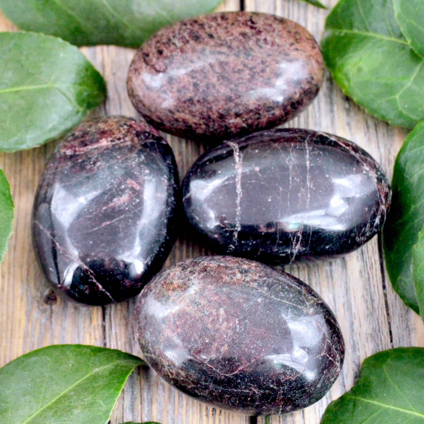 Garnet Palm Stone