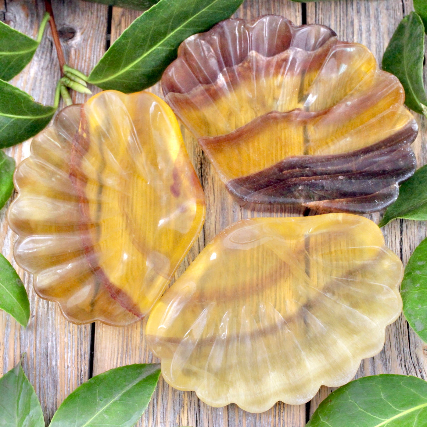 Yellow Fluorite Scallop Dish