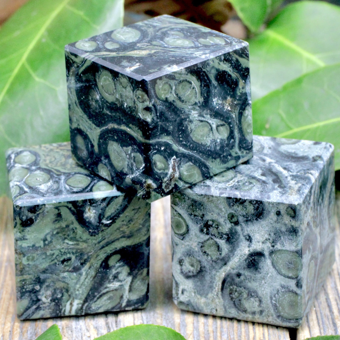 Kambaba Jasper Cube