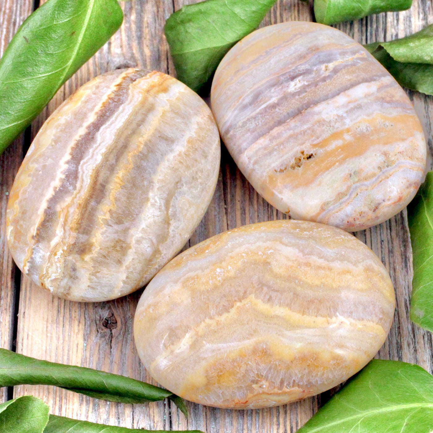 Desert Jasper Palm Stone