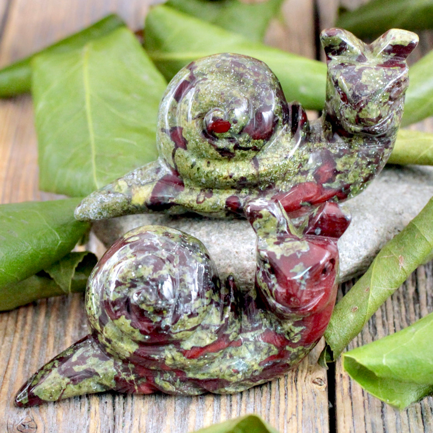 Dragon's Blood Jasper Snail