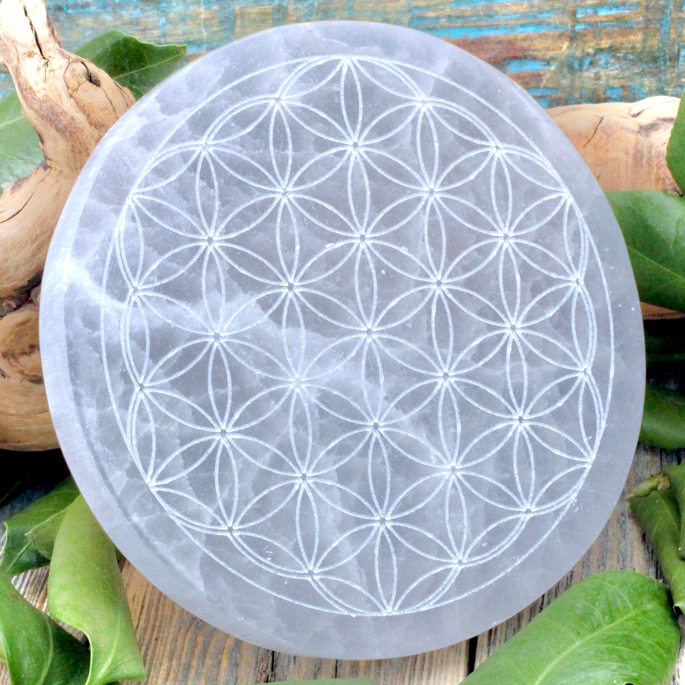 Selenite Charging Plate - Flower of Life