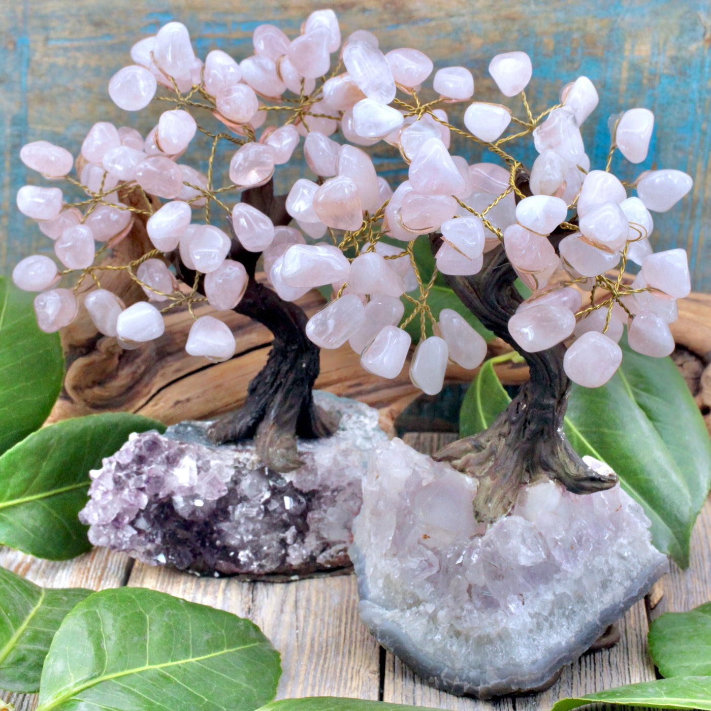 Rose Quartz Crystal Tree on Amethyst Cluster Base