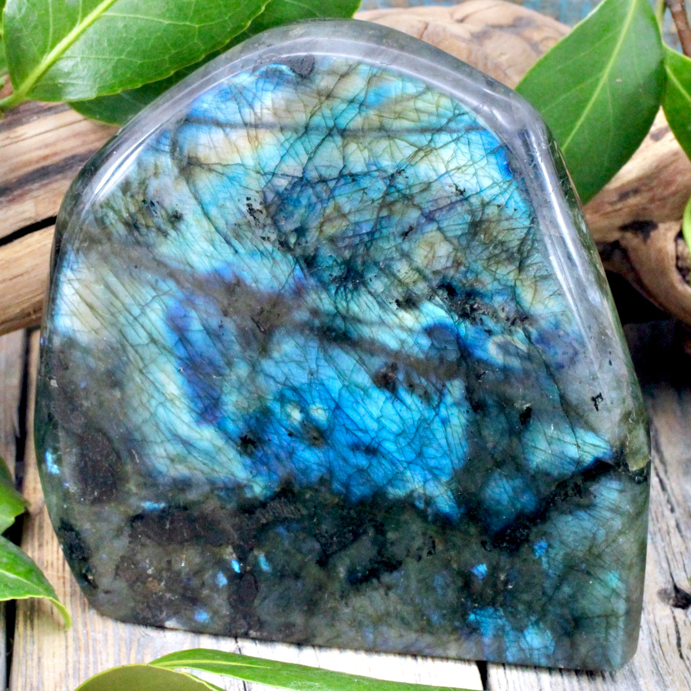 Labradorite Freeform