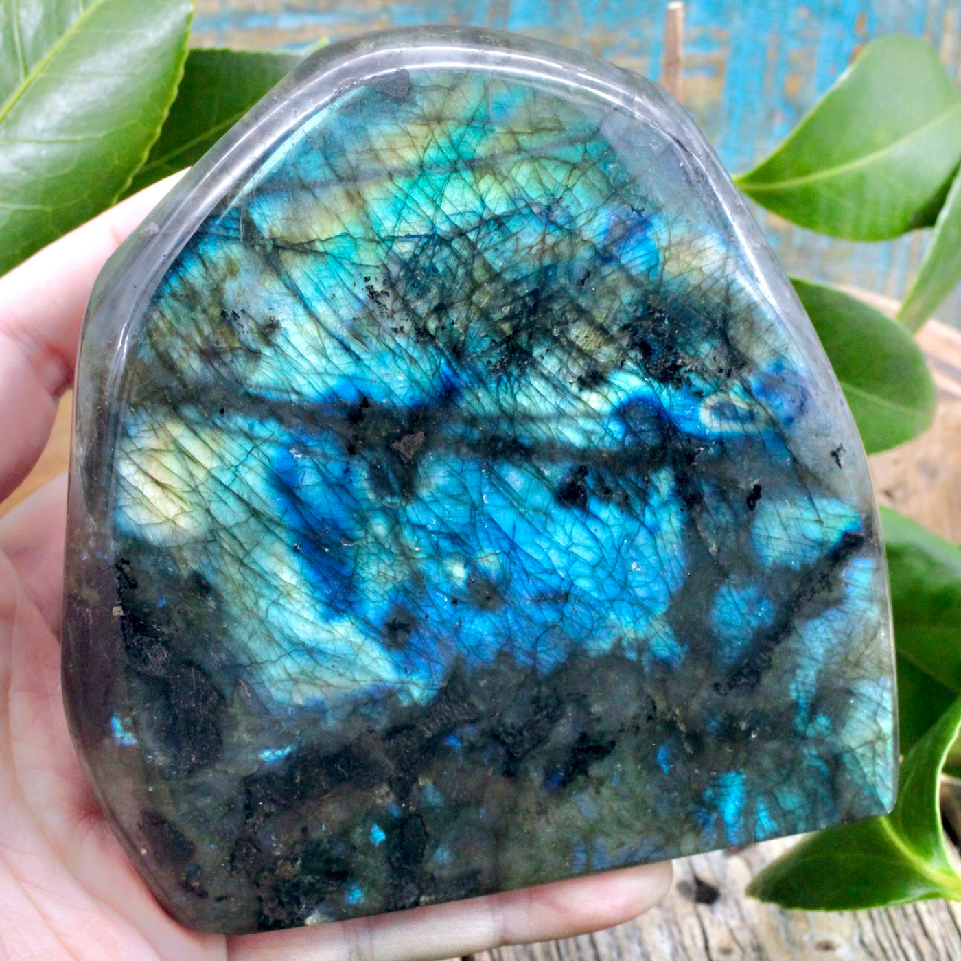 Labradorite Freeform