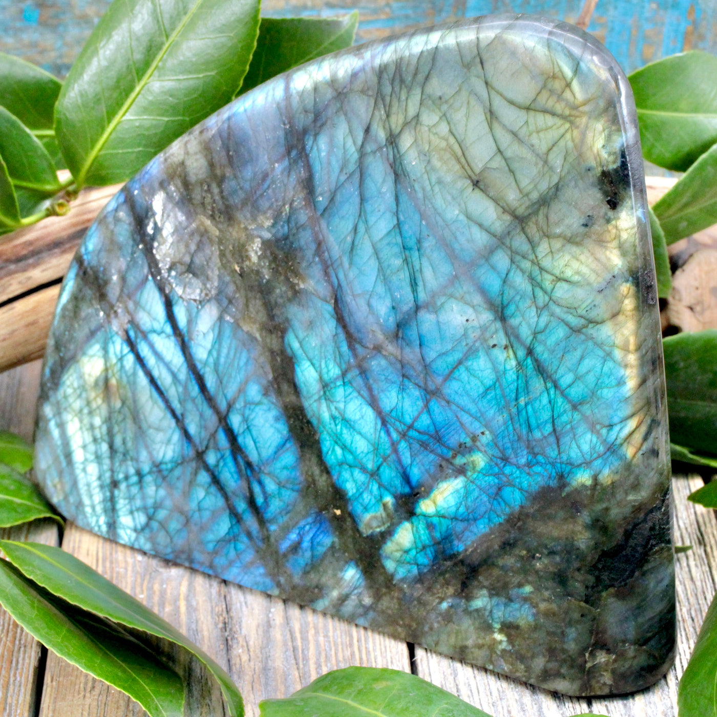 Labradorite Freeform