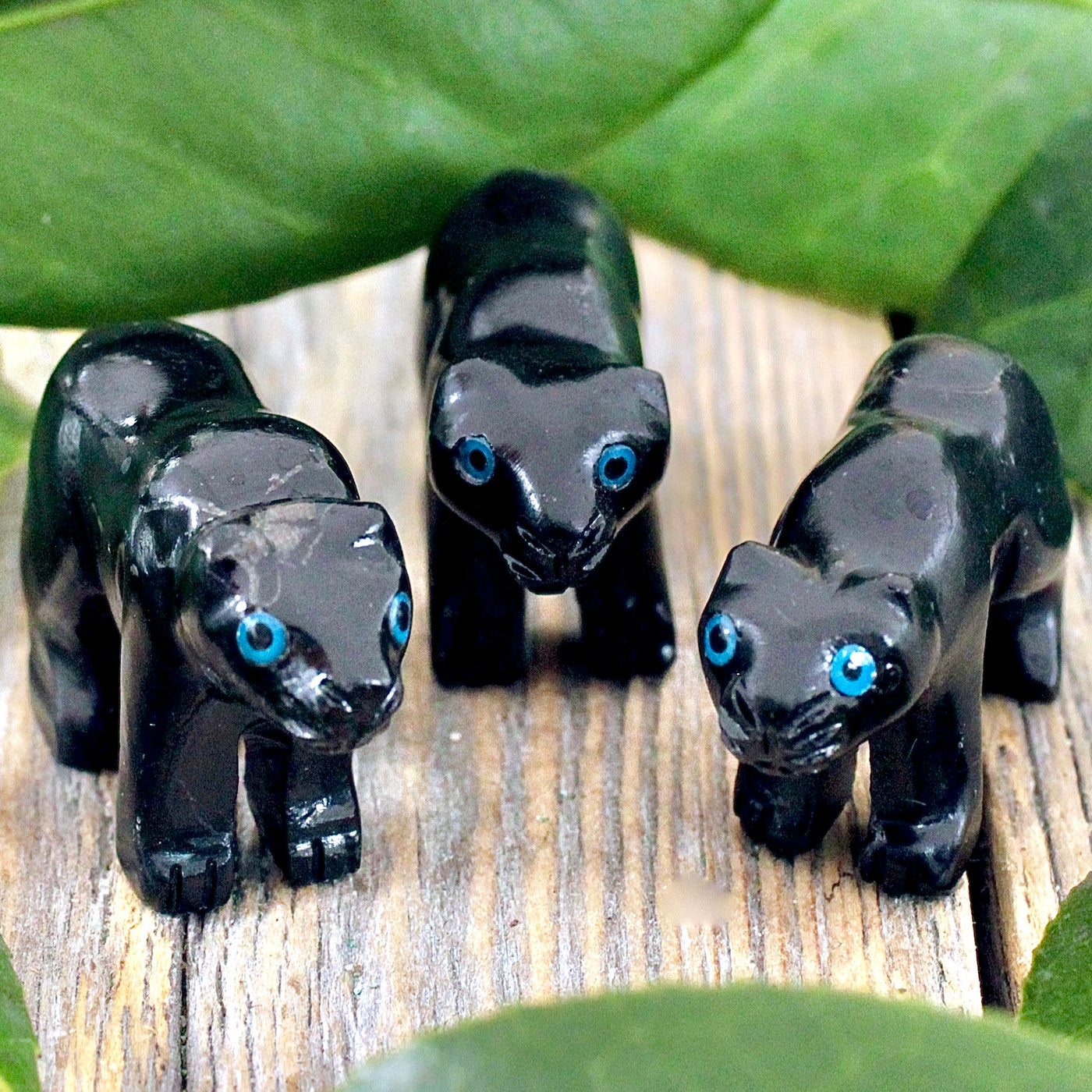 Black Onyx Panther