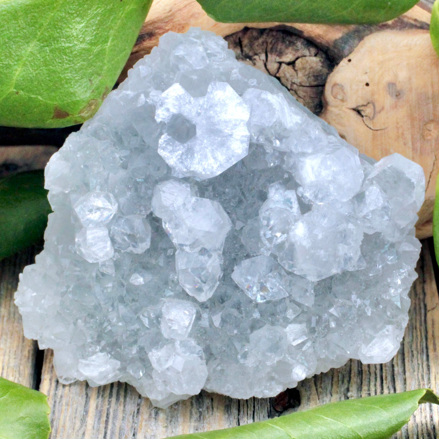 Zeolite Cluster