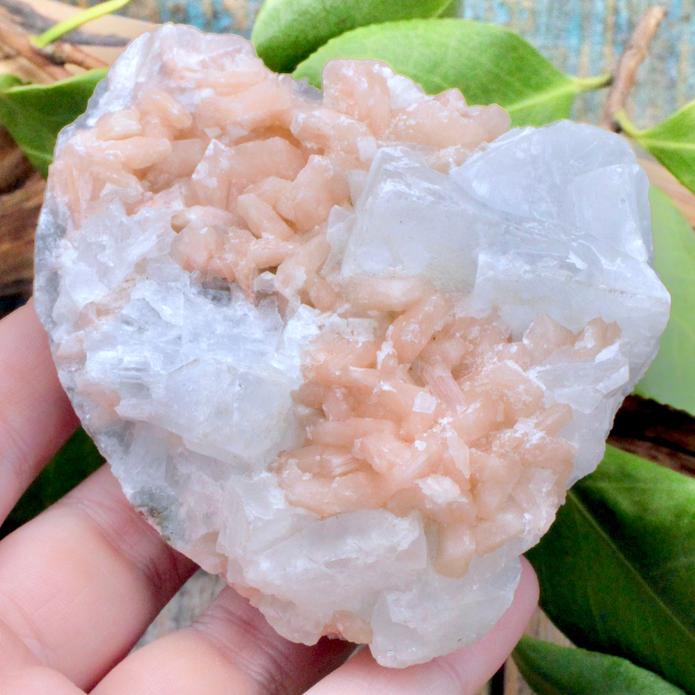 Zeolite Cluster