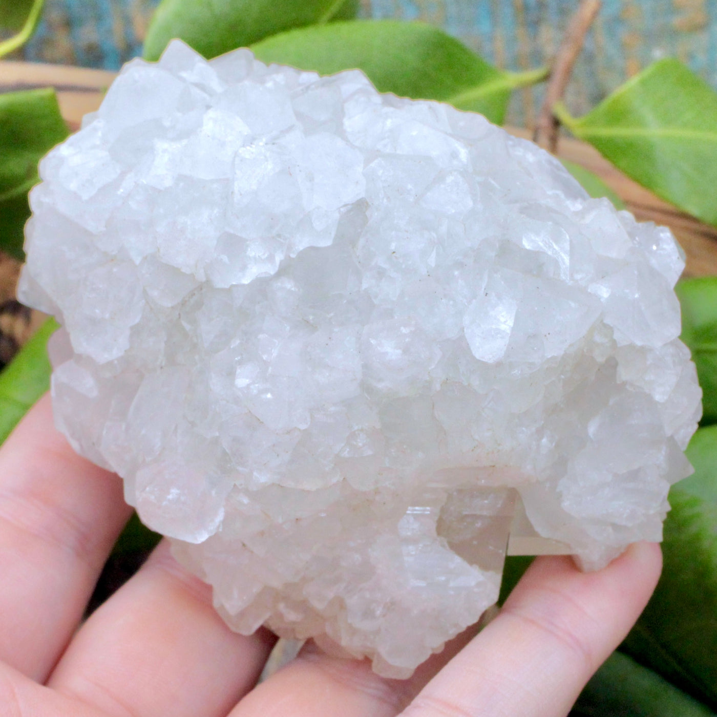 Zeolite Cluster