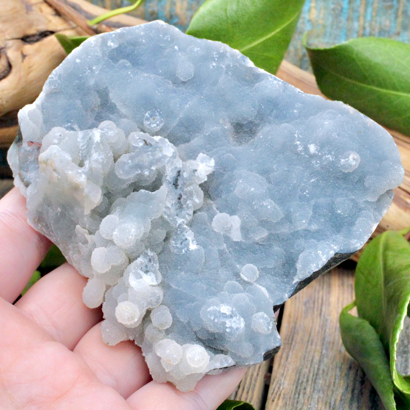 Zeolite Cluster