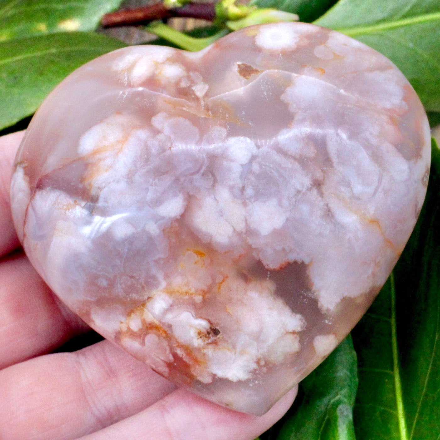 Flower Agate Heart