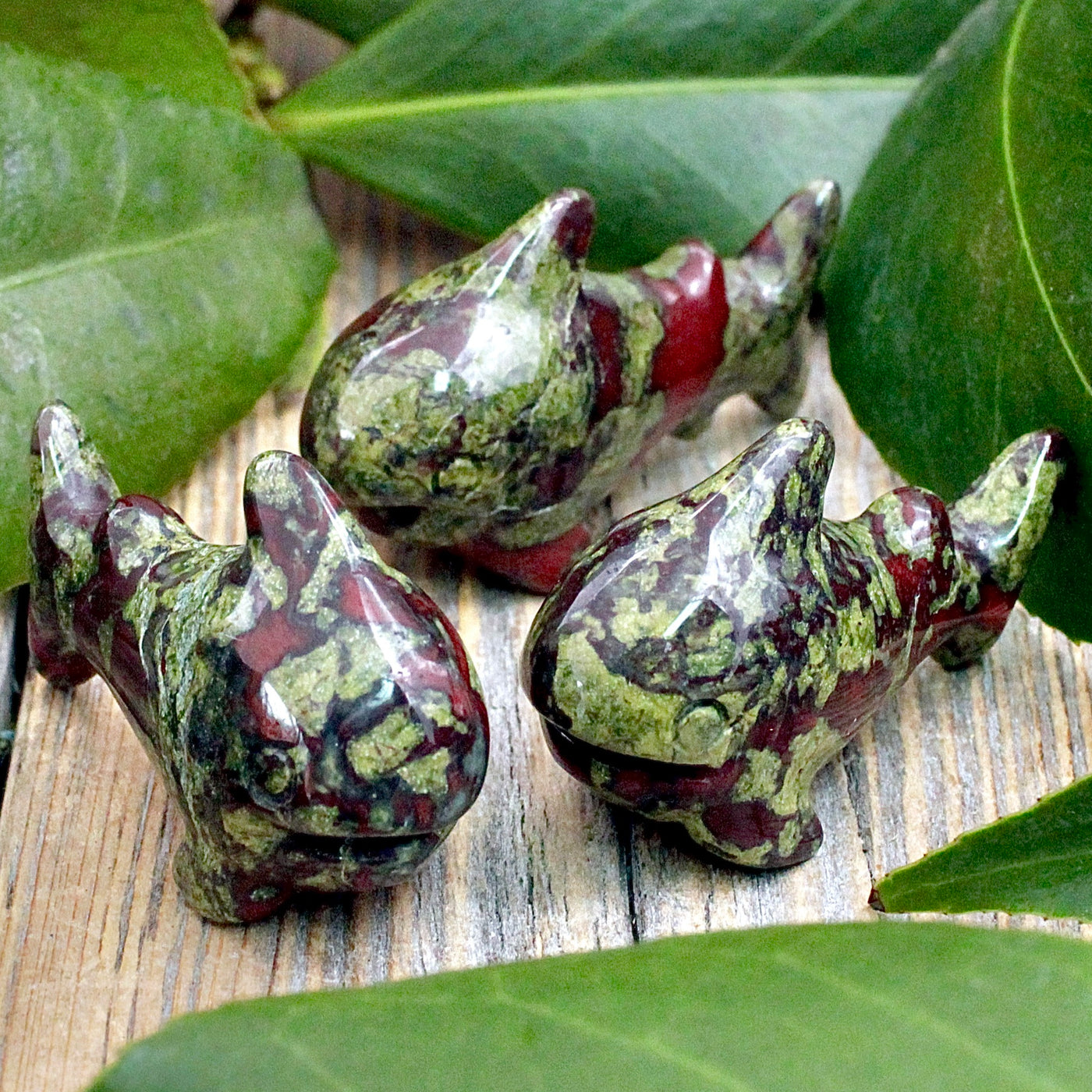 Dragon's Blood Jasper Shark