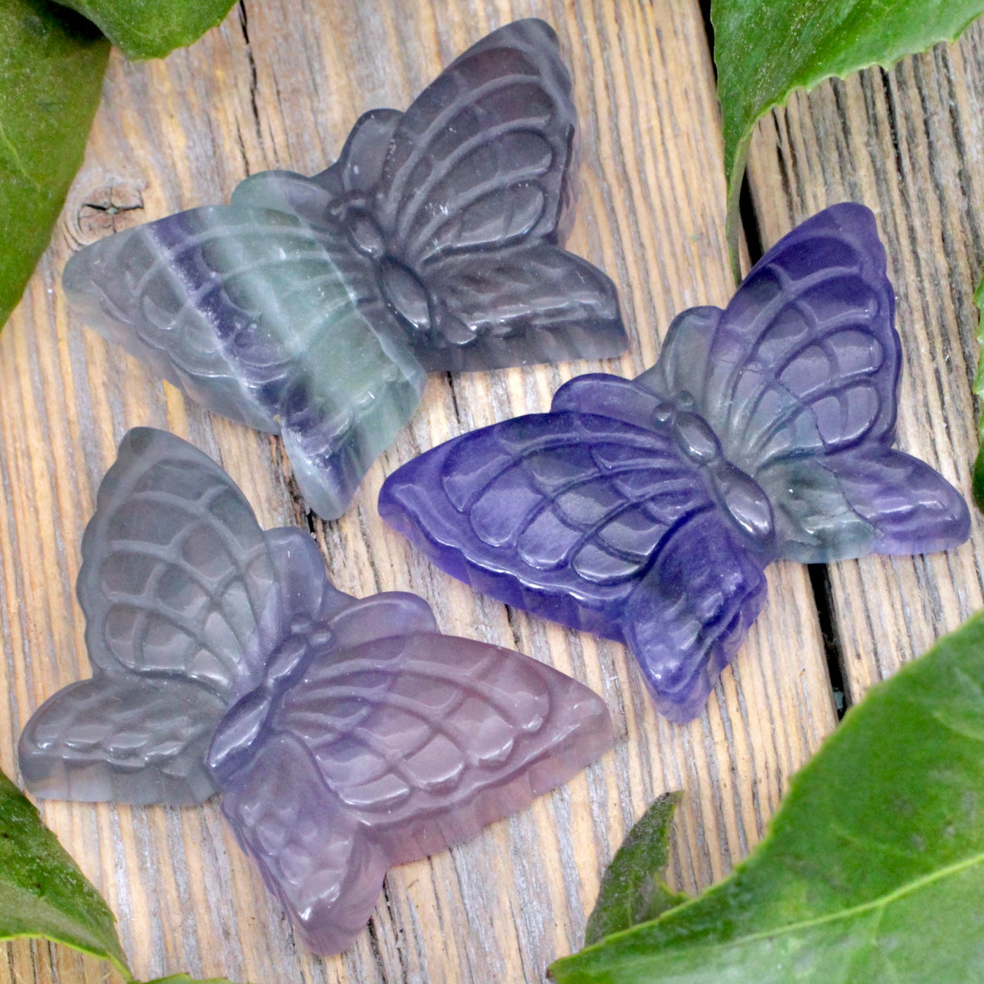 Fluorite Butterfly