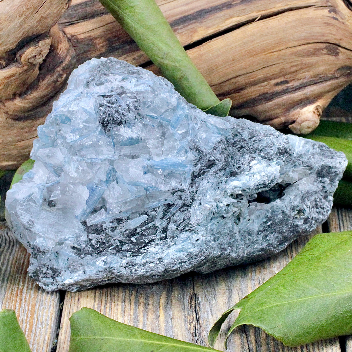 Kyanite Rough Chunk