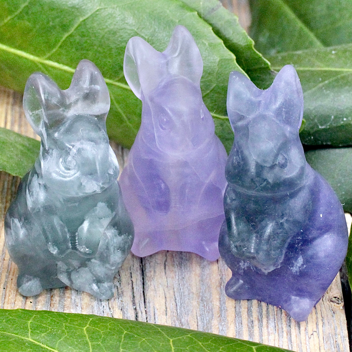 Fluorite Bunny