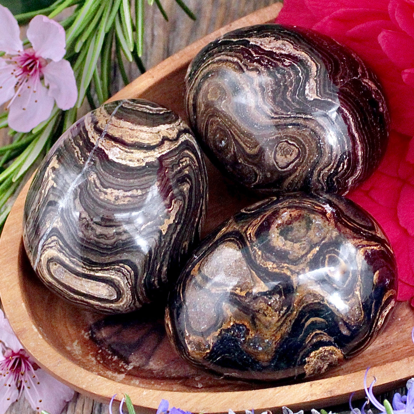 Stromatolite Egg