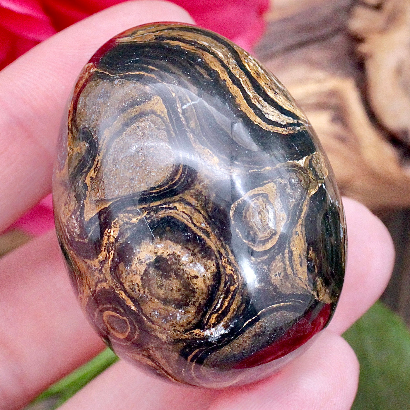 Stromatolite Egg