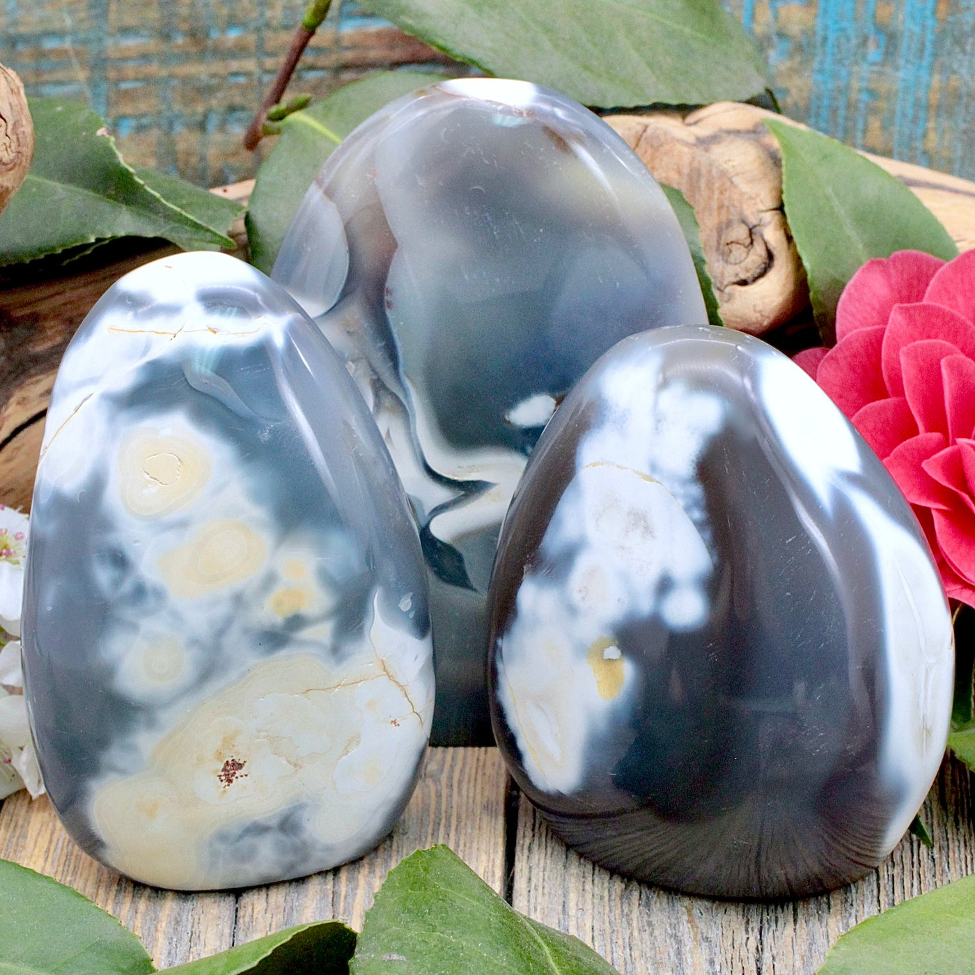 Orca Agate Freeform