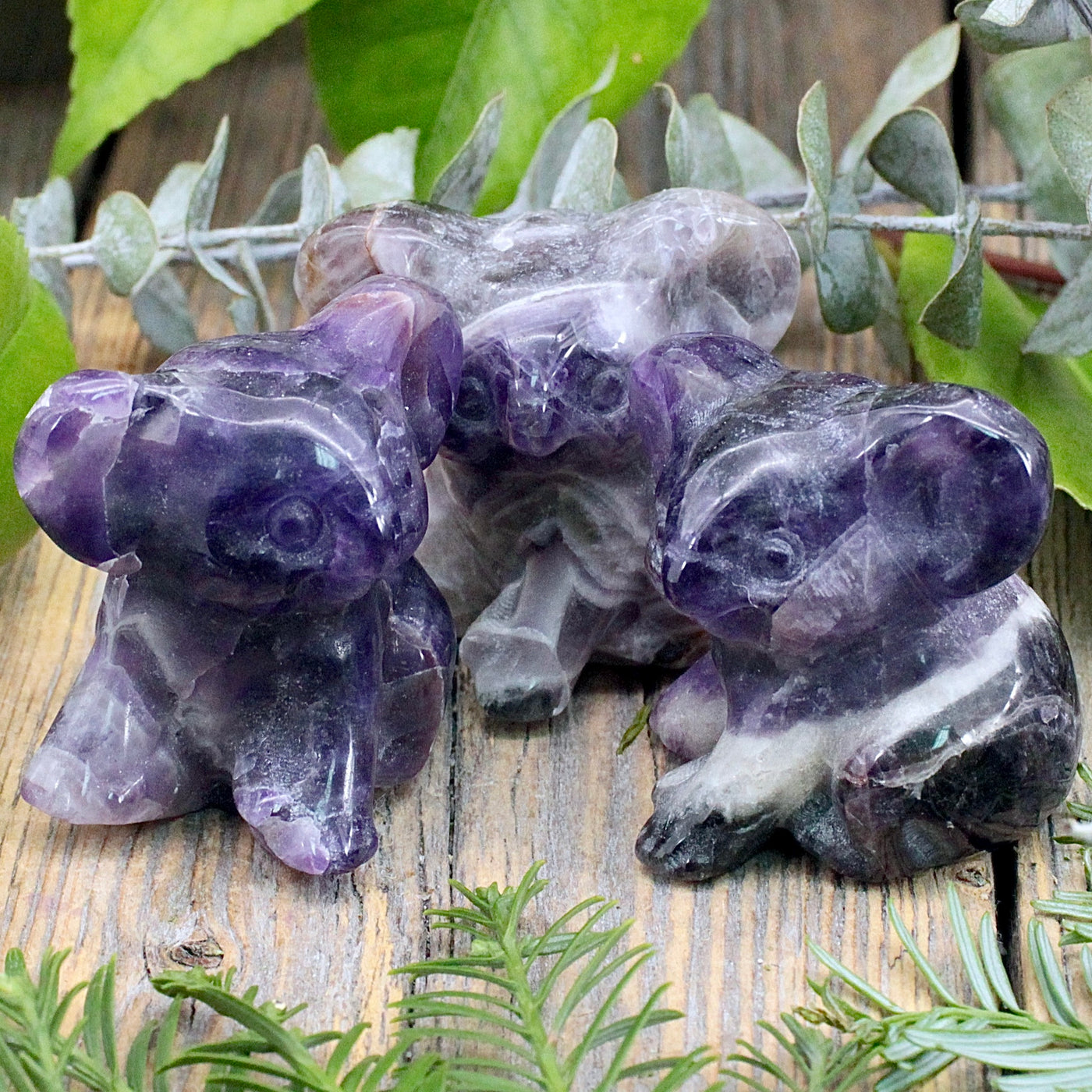 Chevron Amethyst Koala