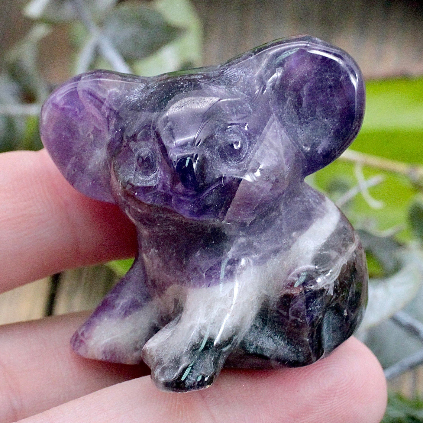 Chevron Amethyst Koala