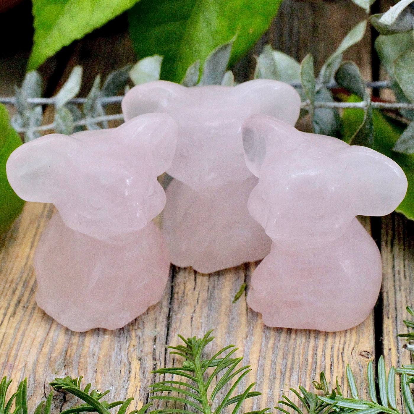 Rose Quartz Koala