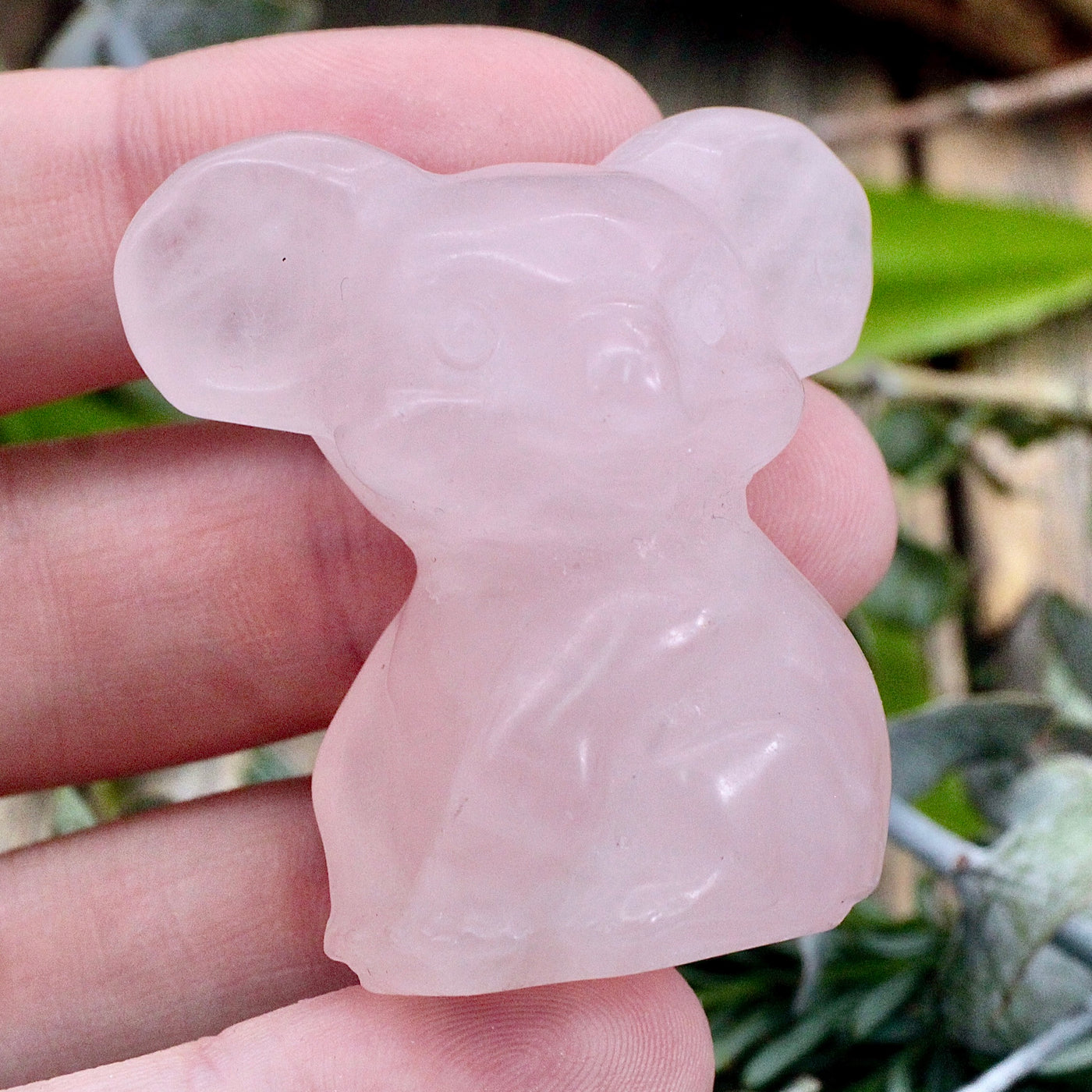 Rose Quartz Koala