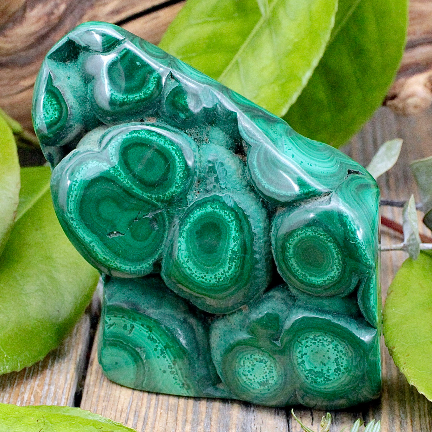 Malachite Freeform