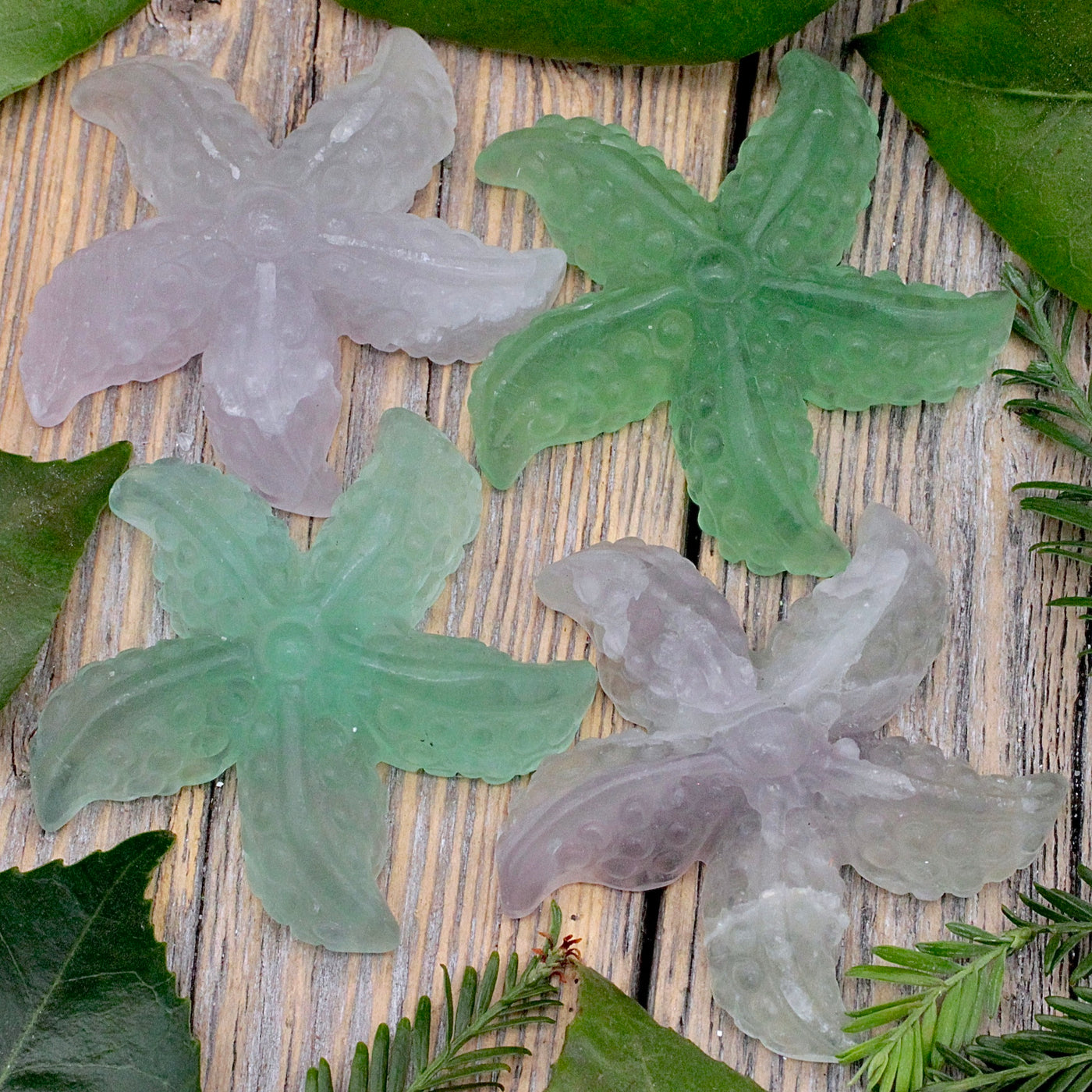 Fluorite Starfish