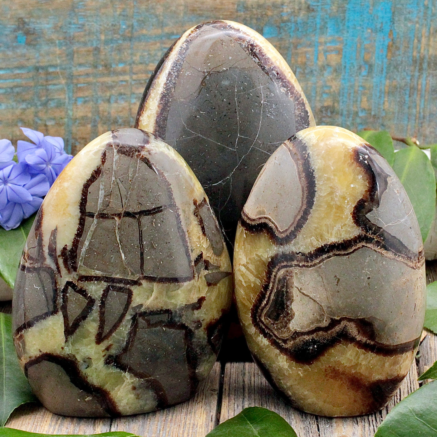 Septarian Freeform