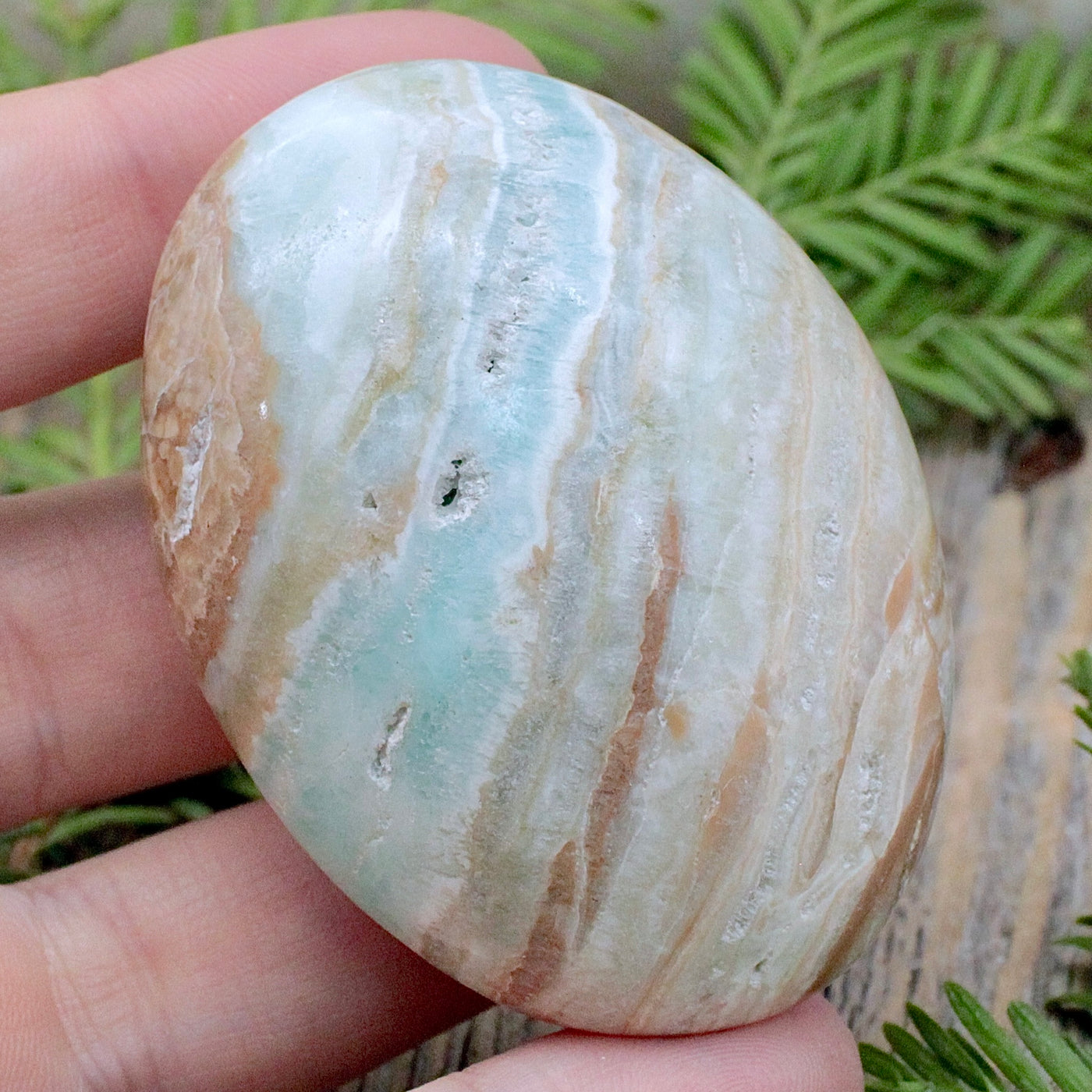 Caribbean Calcite Palm Stone