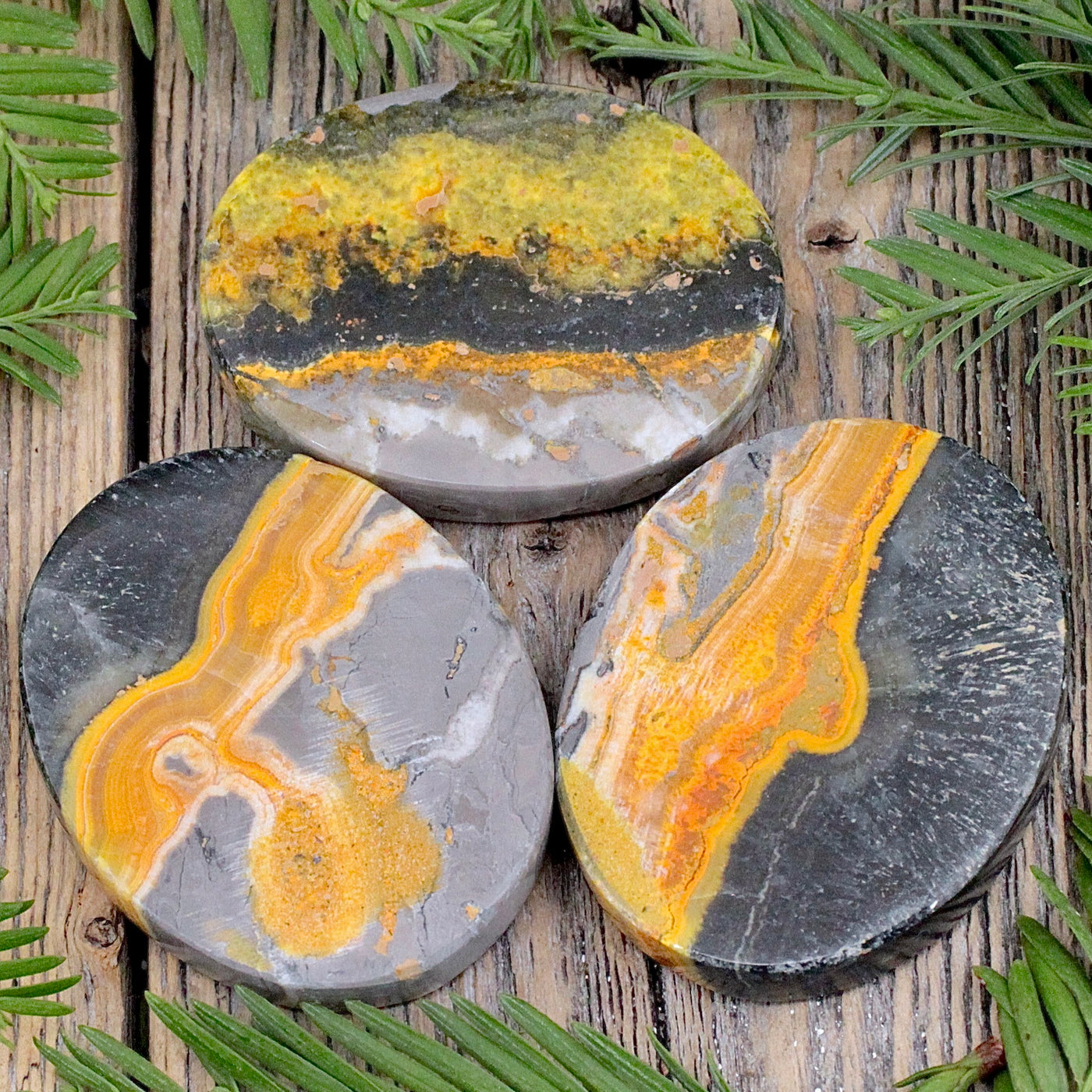 Bumblebee Jasper Medallion